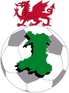 Voetbal - Welsh Premier League - Erelijst