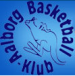 Aalborg BasketBall
