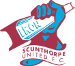 Scunthorpe United  (ENG)