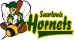 Saarlouis Hornets
