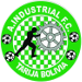 Industrial FC Avilés