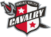 Brazos Valley Cavalry FC (USA)