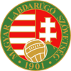Voetbal - Beker van Hongarije - 2021/2022 - Home