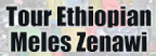 Wielrennen - Tour Ethiopian Meles Zenawi - Erelijst