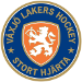 Växjö Lakers Hockey (2)