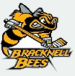 Bracknell Bees