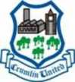 Crumlin United FC
