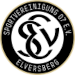 SV Elversberg II