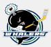 Plymouth Whalers