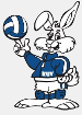 Kolding Ungdoms Volley
