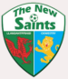 The New Saints FC (1)