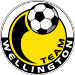 Team Wellington (NZL)