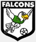 Enfield City Falcons