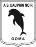 AS Dauphins Noirs