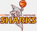 Southland Sharks