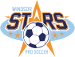 Windsor Stars