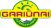 FK Gariunai Vilnius