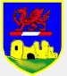 Newcastle Emlyn FC