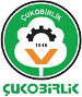 Adana Cukobirlik SK