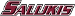 Southern Illinois Salukis