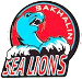Sakhalin Sea Lions