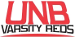 University of New Brunswick
