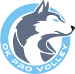 PRO Volley