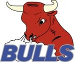 HC Düdingen Bulls