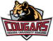 Indiana Kokomo Cougars