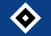 Voetbal - Hamburger SV