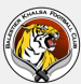 Balestier Khalsa FC (SIN)