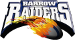 Barrow Raiders