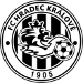 FC Hradec Kr&aacute;lov&eacute; U19
