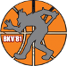 Vejen Basket