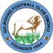 Go Round FC