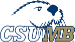 Cal State Monterey Bay Otters