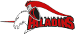 Solingen Paladins