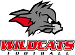 Kirchdorf Wildcats