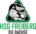 HSG Freiberg