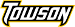 Towson Tigers