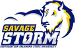 Southeastern Oklahoma State Savage Storm
