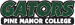 Pine Manor Gators