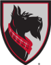 Carnegie Mellon Tartans