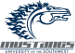 Southwest Mustangs