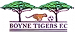 Boyne Tigers FC