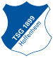 TSG 1899 Hoffenheim 2