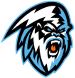 Winnipeg Ice