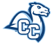 Connecticut Camels