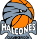 Halcones de Ciudad Obreg&oacute;n
