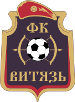 FK Vityaz Noginsk